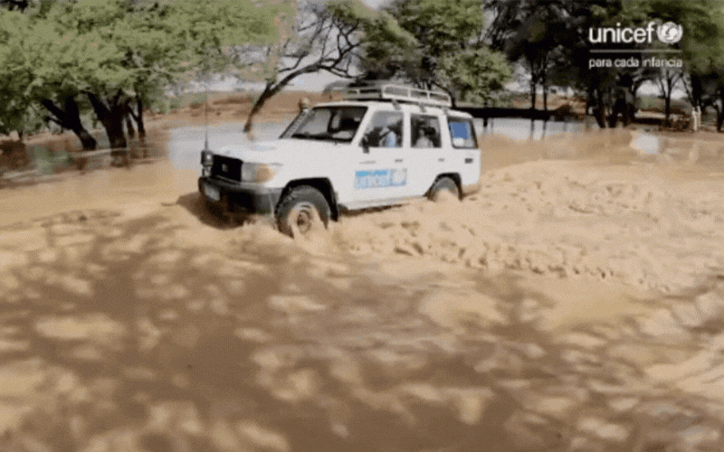 Jeep en terreno